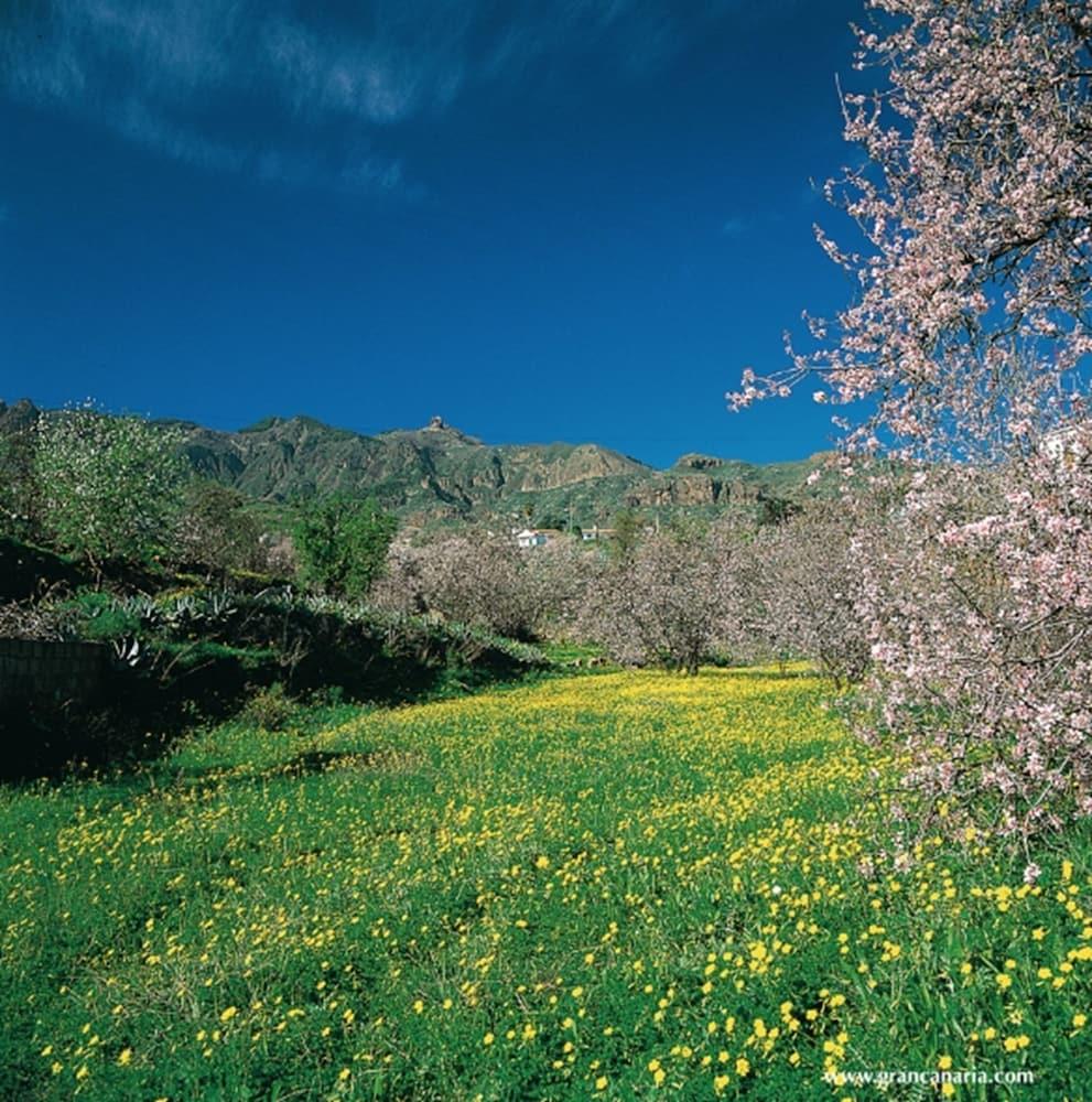 מלון El Cortijo  Cortijo San Ignacio מראה חיצוני תמונה