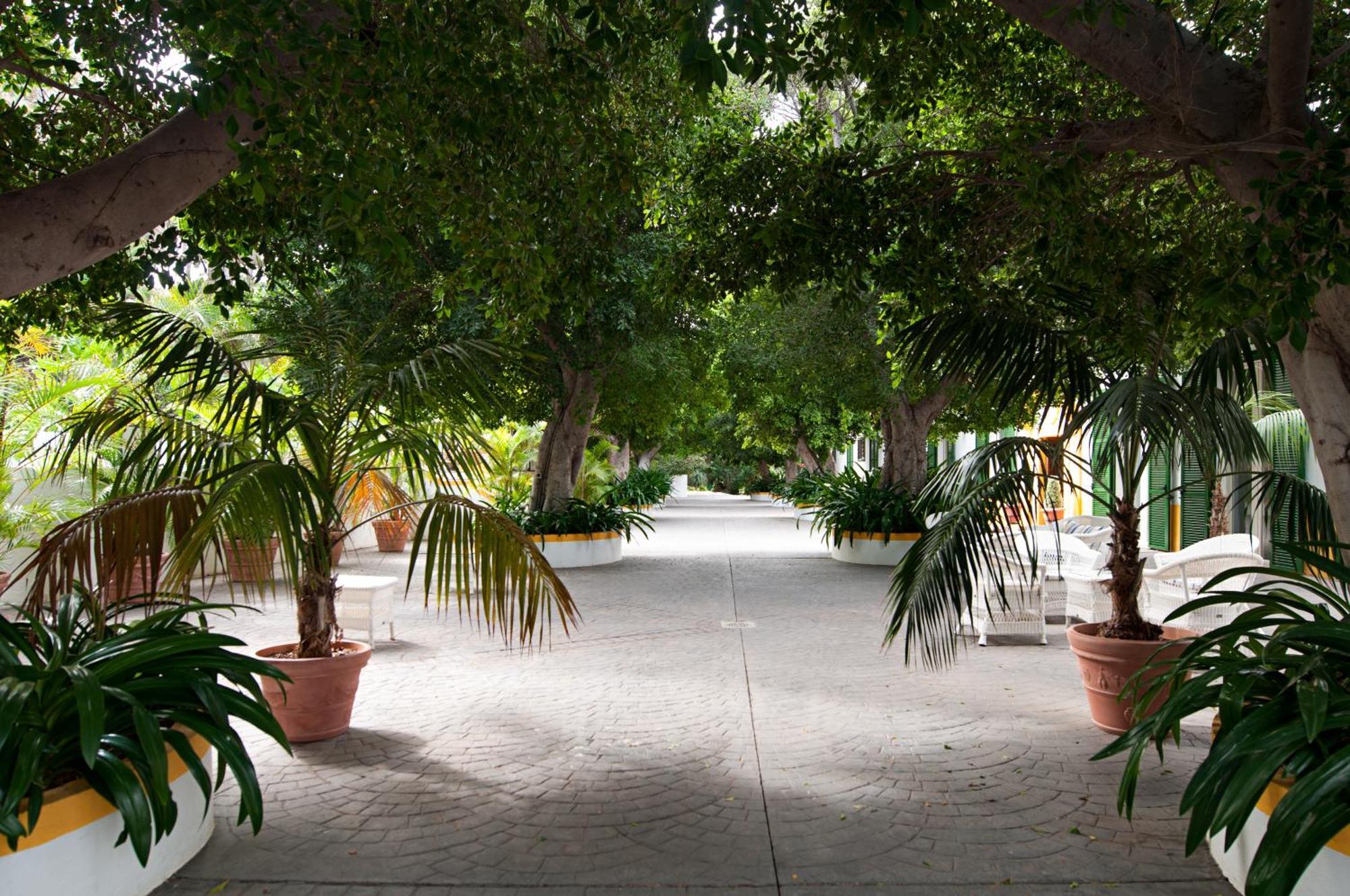 מלון El Cortijo  Cortijo San Ignacio מראה חיצוני תמונה